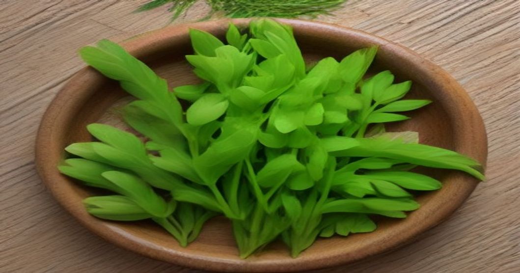 Moringa for Immunity: How Shigru Supports Your Body’s Natural Defenses